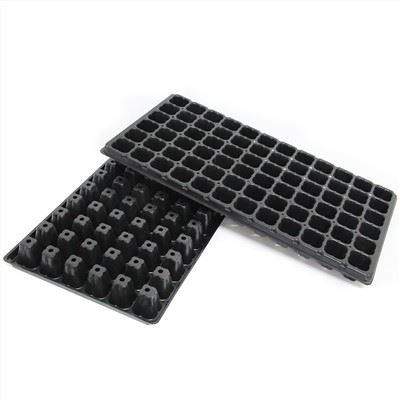 50/72 Selil Plato Grenn